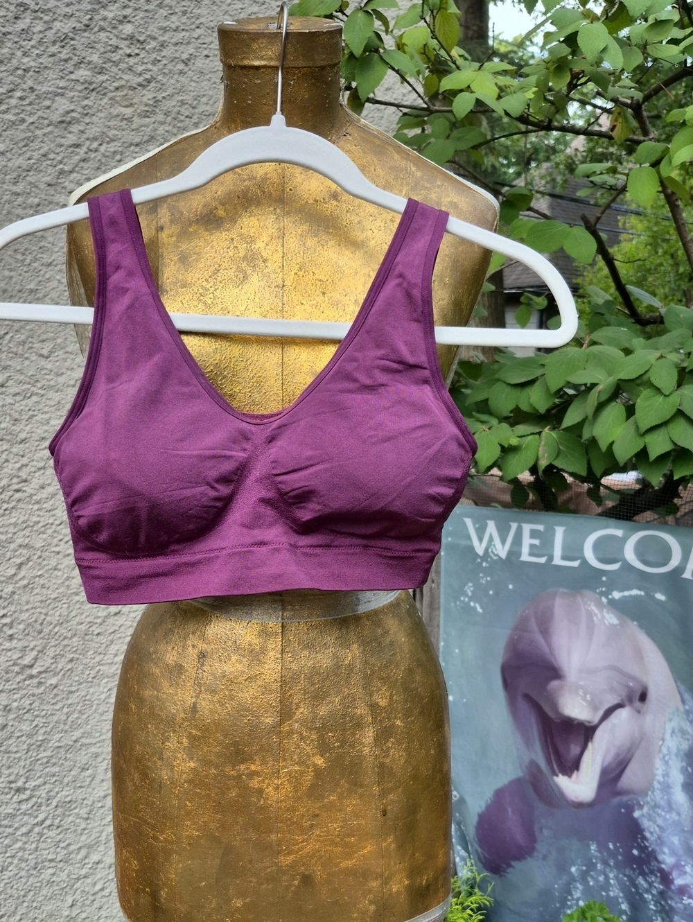 Wacoal Plum Wireless Seamless Comfort Bra
